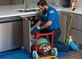 Professional Plumbing  in Viola, IL